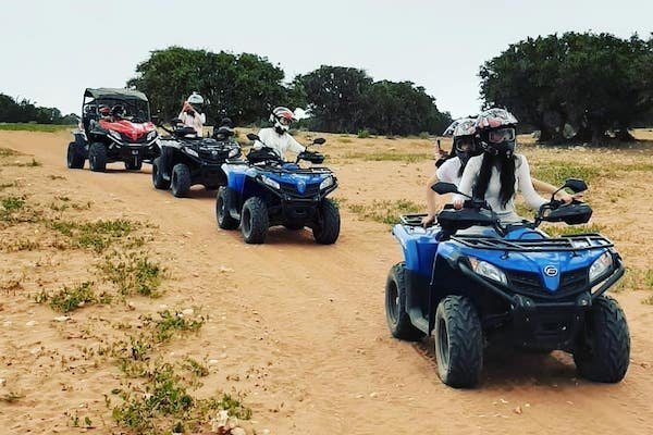 Group of quad bikes riding a dirt track between argan trees