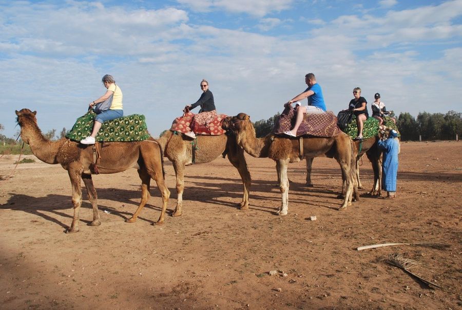 Camel caravan with guests near the Souss river