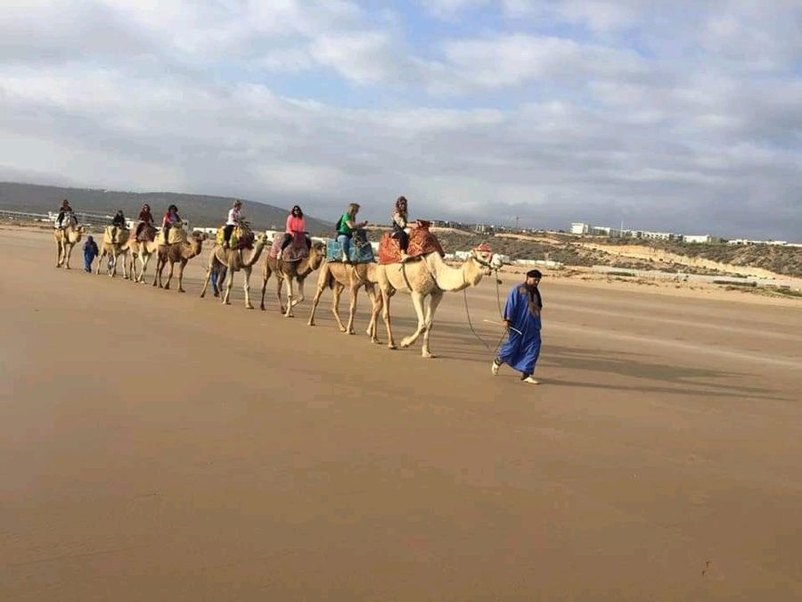 The caravan walking the beach near Taghazout
