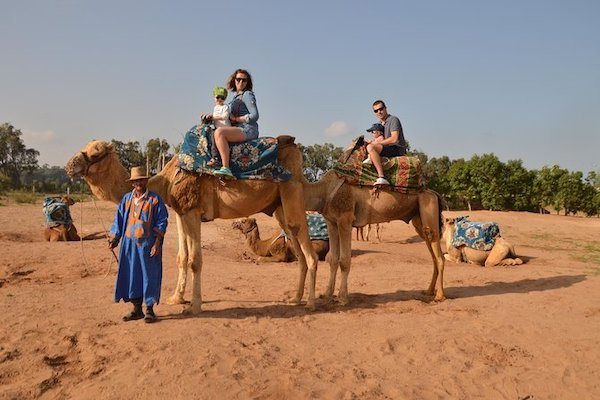 Families with children on camels at the ranch